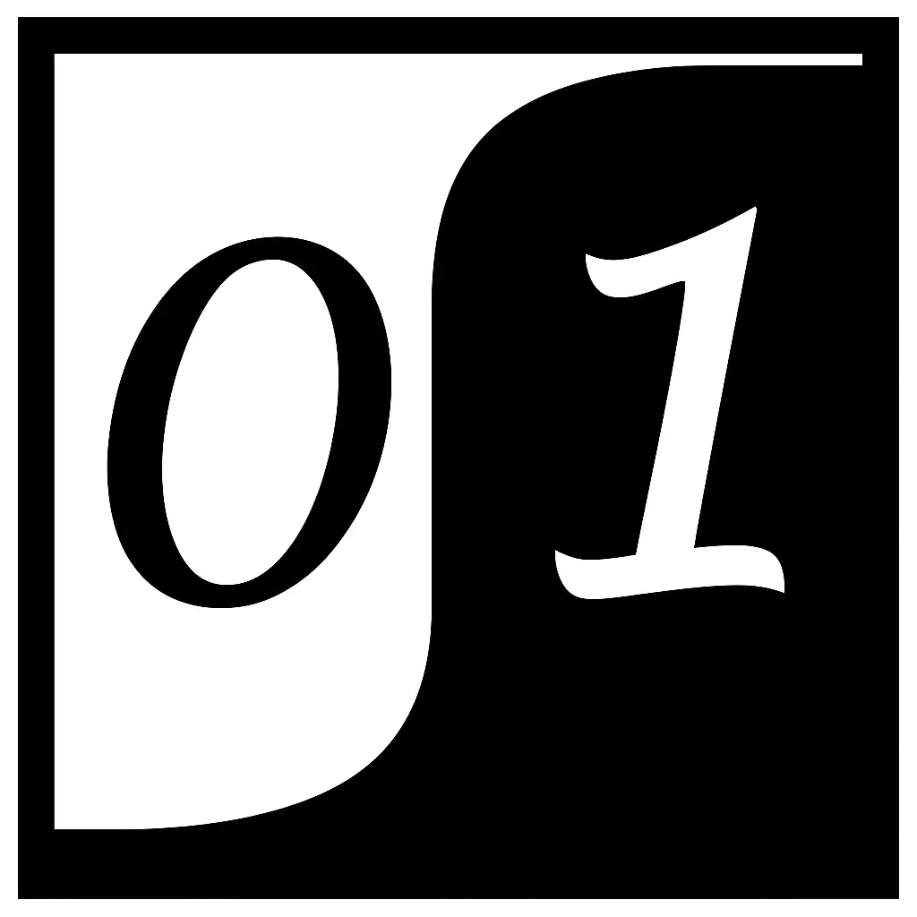 Binary International logo